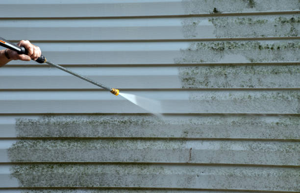 Best Building Exterior Washing  in Warrior, AL